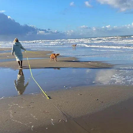 Nr 88 Neues, Ruhiges Hundefreundliches Direkt Am Wattenmeer, Komplett Eingezaeunt Holiday home