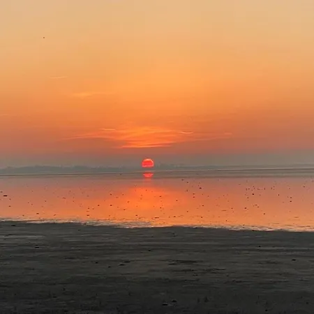 Nr 88 Neues, Ruhiges Hundefreundliches Direkt Am Wattenmeer, Komplett Eingezaeunt