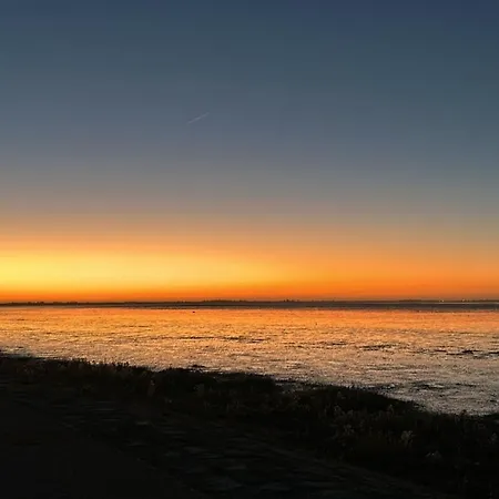 Nr 88 Neues, Ruhiges Hundefreundliches Direkt Am Wattenmeer, Komplett Eingezaeunt * Westerland