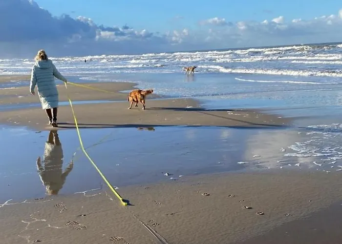 Nr 88 Neues, Ruhiges Hundefreundliches Direkt Am Wattenmeer, Komplett Eingezaeunt Дом отдыха
