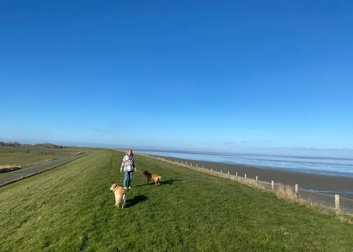 Nr 88 Neues, Ruhiges Hundefreundliches Direkt Am Wattenmeer, Komplett Eingezaeunt Дом отдыха