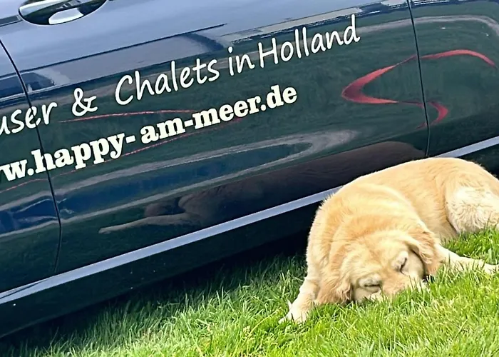 Nr 88 Neues, Ruhiges Hundefreundliches Direkt Am Wattenmeer, Komplett Eingezaeunt * Westerland