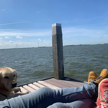 Nr 88 Neues, Ruhiges Hundefreundliches Direkt Am Wattenmeer, Komplett Eingezäunt - B66749 Ferienhaus Westerland