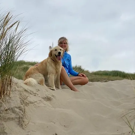 Nr 88 Neues, Ruhiges Hundefreundliches Direkt Am Wattenmeer, Komplett Eingezäunt - B66749 Ferienhaus Westerland