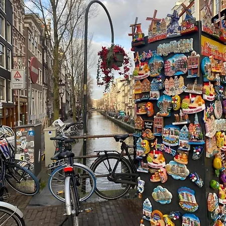 Nr 88 Neues, Ruhiges Hundefreundliches Direkt Am Wattenmeer, Komplett Eingezäunt - B66749 *