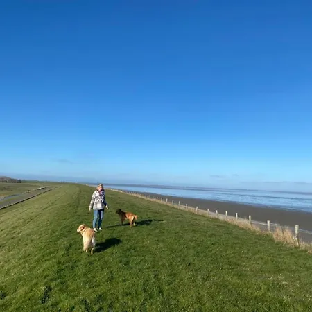 Nr 88 Neues, Ruhiges Hundefreundliches Direkt Am Wattenmeer, Komplett Eingezäunt - B66749 Ferienhaus