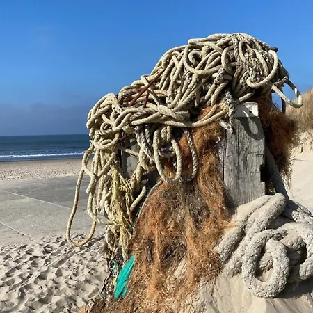 Nr 88 Neues, Ruhiges Hundefreundliches Direkt Am Wattenmeer, Komplett Eingezäunt - B66749 Ferienhaus