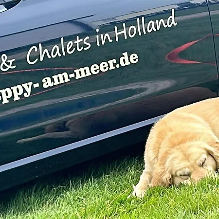 Nr 88 Neues, Ruhiges Hundefreundliches Direkt Am Wattenmeer, Komplett Eingezäunt - B66749 * Westerland