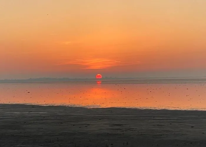 Nr 88 Neues, Ruhiges Hundefreundliches Direkt Am Wattenmeer, Komplett Eingezaeunt