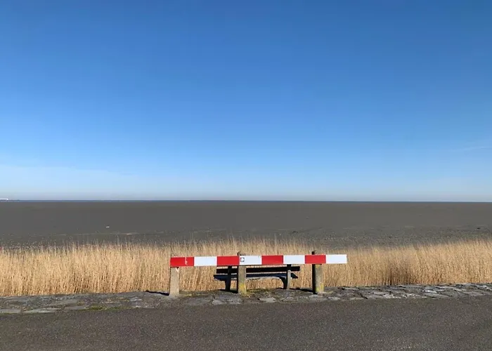 Nr 88 Neues, Ruhiges Hundefreundliches Direkt Am Wattenmeer, Komplett Eingezaeunt