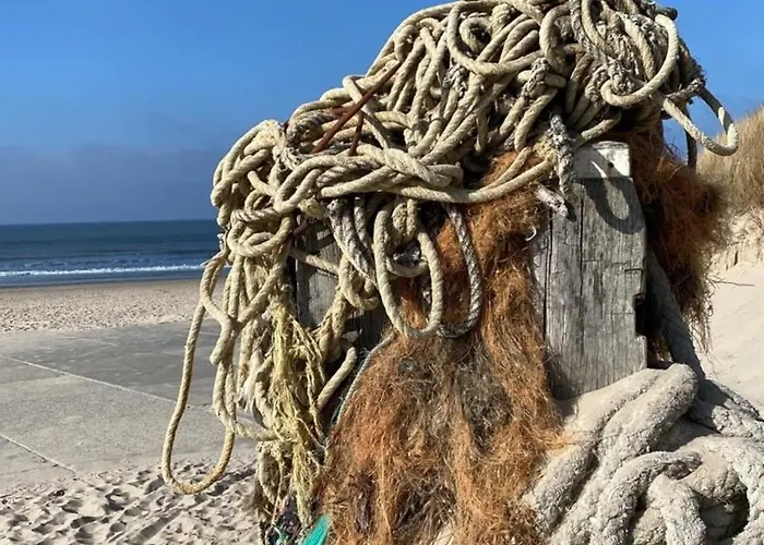 Nr 88 Neues, Ruhiges Hundefreundliches Direkt Am Wattenmeer, Komplett Eingezaeunt בית נופש